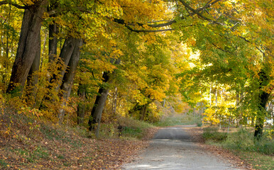 Golden fall travel in beautiful  south west Michigan USA 