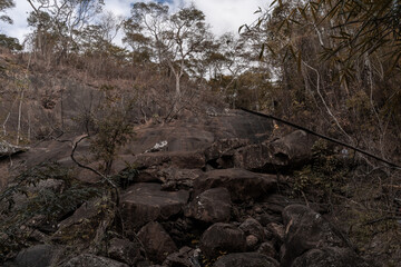 Brazilian landscape with a rocky waterfall and trees 