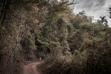 Brazilian landscape with a rocky waterfall and trees 