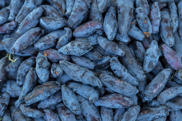 Fresh blue honeysuckle, also known as Honey berry, a background of blue berries with green leaves. Fashionable tinting.