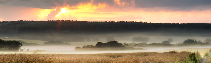 Landscape view of fog over remote field with copy space at sunset. Mist covering a vast expanse of...