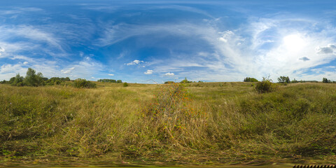 Rustic landscape with meadow and tall grass on a Sunny day. Field and grass under a blue sky with clouds. 360VR.
