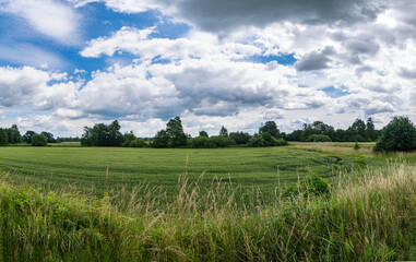 krajobraz szerokiej łąki, panorama zielonych terenów w zachodniej Polsce