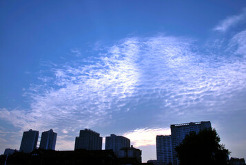 Obraz premium city skyline