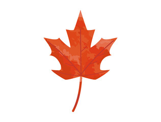 単体の紅葉のイラスト