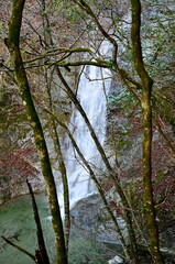 丹沢の畦ヶ丸　大滝沢の大滝
