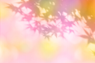 秋色の木漏れ日、光あふれる紅葉のシルエット