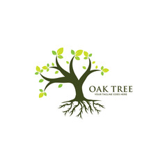 Oak tree logo template vector