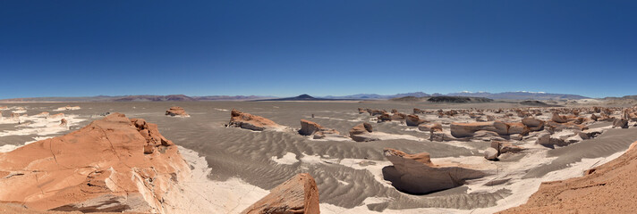 Campo de Piedra Pómez Catamarca Argentina. Antofagasta de la Sierra
