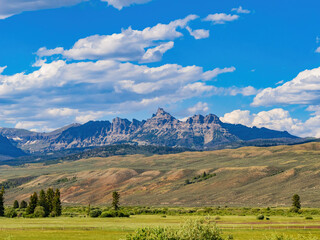 Fototapeta premium Sunny view of the rural landscape