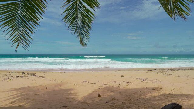 Nature video scene of Low angle view Beach with coconut tree in summer season and good weather day. Tropical Sea Andaman Sea Location Phuket Thailand. 4K Video High quality Apple ProRes HQ