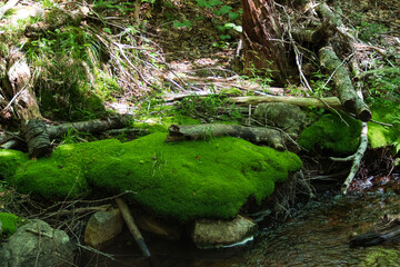 Hiking in the Adirondacks