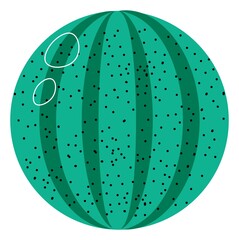 Whole watermelon exotic fruit, ripe berry vector