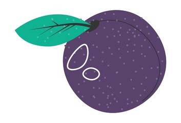Plum tasty fruit, ripe berries with leaves vector
