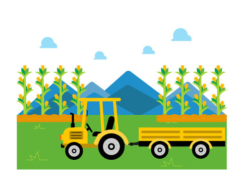 Farm truck tractors and trailers. Corn plantation with beautiful mountain view. Farm vector illustration.