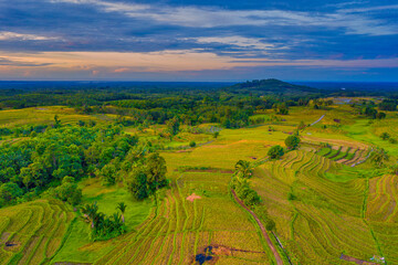 Aerial photo of natural panorama of Indonesia, morning view in beautiful rice fields