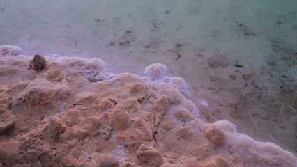 Large Salt accumulated on the shore of the Dead sea. Deposits of mineral salts, typical landscape of the Dead Sea. Salt on beach at sunrise.