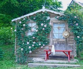 薔薇の花に飾られた小屋