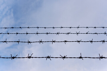 Barbed wire fence on the sky