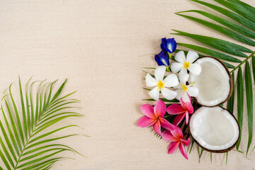 Fototapeta na wymiar Beautiful blossom frangipani flowers on palm background.