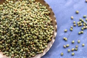 Organic dried coriander seed spice or Coriandrum sativum placed in a brass plate. copy space.