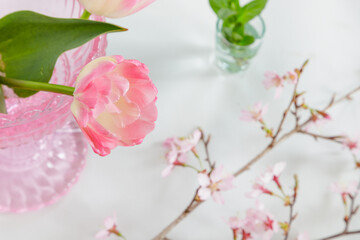 Fototapeta na wymiar 八重咲チューリップと桜の花