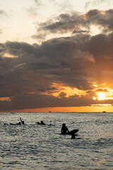Fototapeta premium Surfer silhouette in the beach at Waikiki during sunset golden hour. 