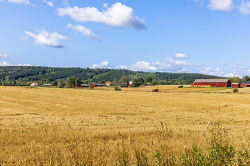 Fototapeta na wymiar Rural landscape view with fields and farms