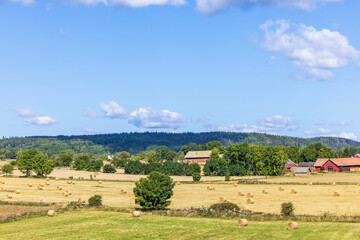 Fototapeta premium Harvested fields with bales in the country