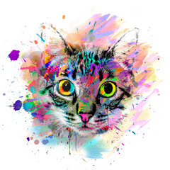 colorful artistic kitty muzzle bright paint splatters on white background color art
