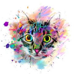 Rollo colorful artistic kitty muzzle bright paint splatters on white background color art © reznik_val