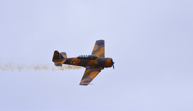 Vintage North American T-6 Harvard 4 Wacky Rabbit Aircraft in Flight.