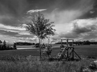 Landscape with Trees, Fields and Raised Perch in Western Bohemia near Malkovice, Czech Republic in Monochrome Black and White - obrazy, fototapety, plakaty