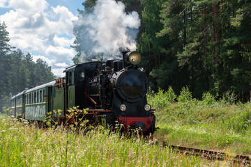 Narrow gauge train with a steam locomotive on the line Gulbene - Aluksne, Latvia.