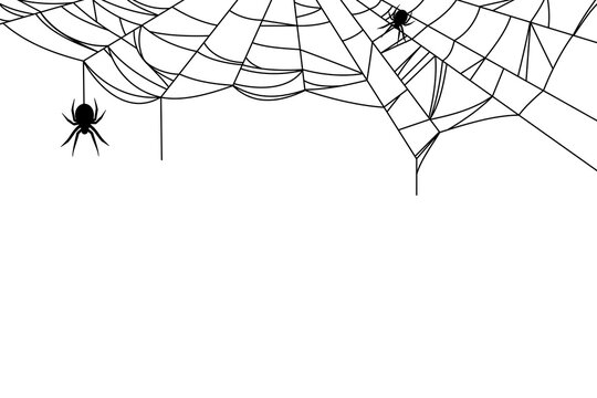 Spiders and spider web on the wall for halloween