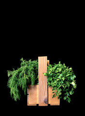 parsley and dill in one box on a black background