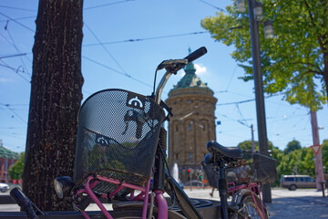 Pink bicycle with big bike basket in front of water tower in Mannheim.