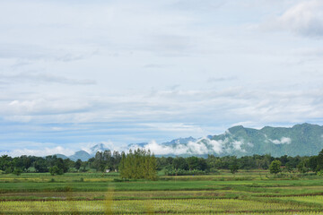 view from the top of the mountain