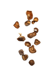 Falling shiitake mushroom isolated on white background with clipping path.