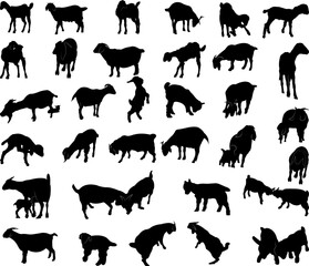 Collection of black silhouettes goats.