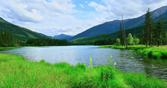 Quiet river and mountain natural scenery in Kanas Scenic Area, Xinjiang, China. clean river water and meadow with mountain nature landscape in summer.