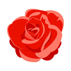 Rose red. Vector image of a plant.