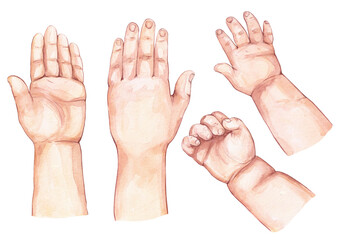 Baby's watercolor hands. Hand drawn illustration. Isolated elements on white background
