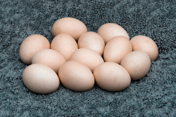 Nest of eggs of Poland chicken