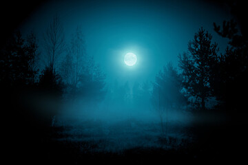 Spooky night foggy forest under the night sky with a full moon in cold blue tones. Halloween...