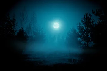 Zelfklevend Fotobehang Volle maan Spooky night foggy forest under the night sky with a full moon in cold blue tones. Halloween backdrop.