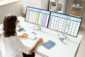 Data Analyst Woman Using Spreadsheet