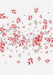 Burgundy Leaves Background Transparent Vector. Herb Landscape Texture. Red Foliage. Pink Rowan School. Simple Frame.