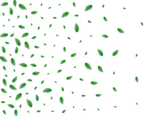 Light Green Foliage Background White Vector. Leaves Simple Frame. Ecology Card. Green Element Illustration. Leaf Border.