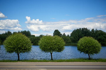 Summer landscape. Green Trees and clouds are reflected in the river. Beautiful sky with cumulus clouds.